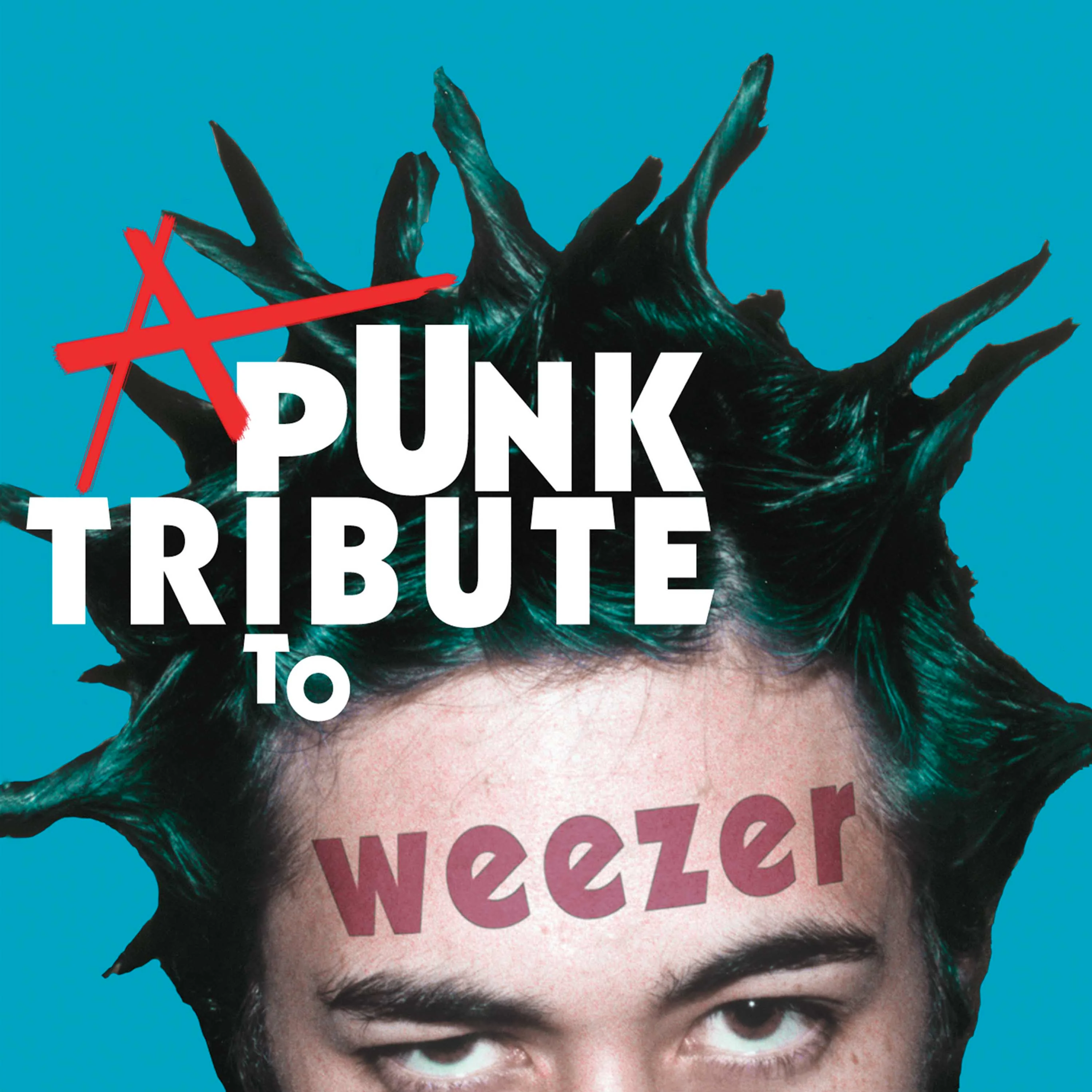 A Punk Tribute To Weezer (CD)