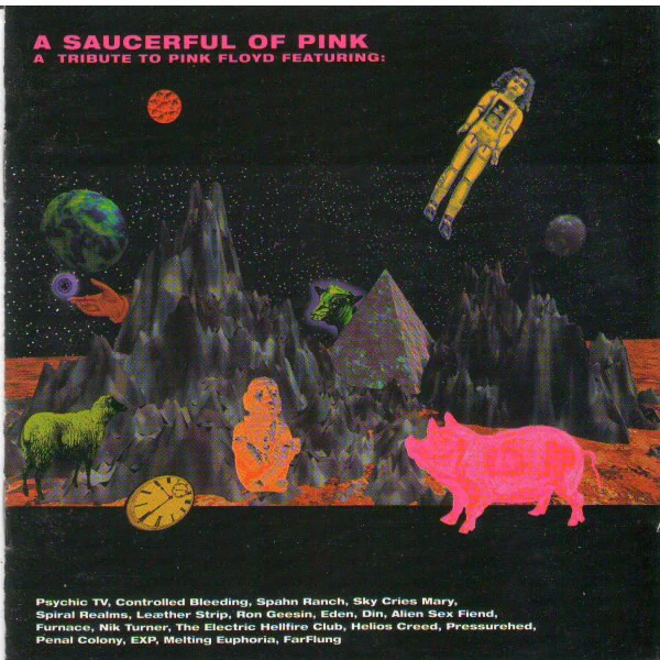 A Saucerful Of Pink - A Tribute To Pink Floyd (2 CD)