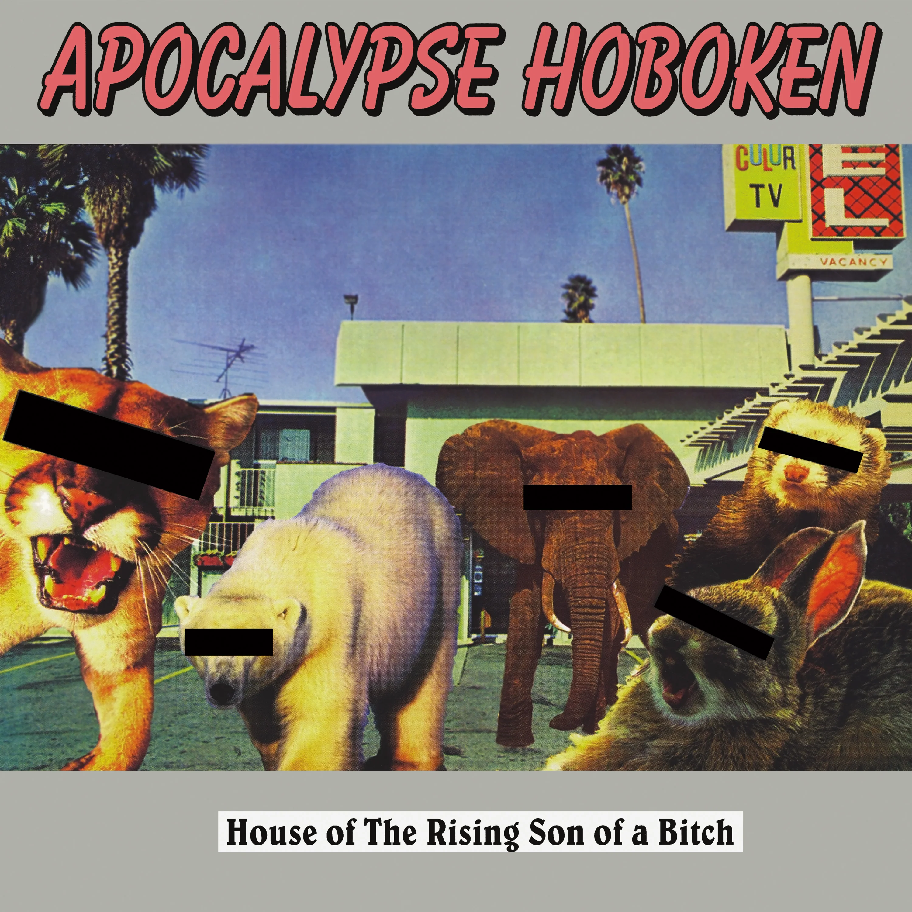 Apocalypse Hoboken - House of The Rising Son of a Bitch (Silver Vinyl) - Image 3