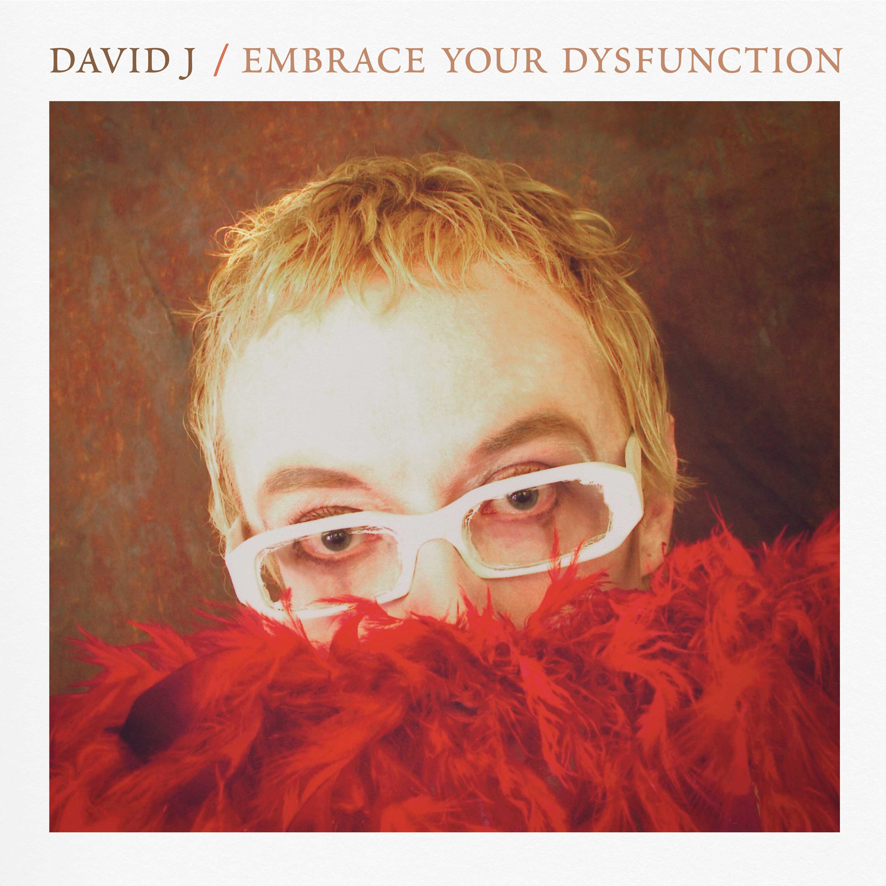 David J - Embrace Your Dysfunction (Red-White Haze Vinyl) - Image 4
