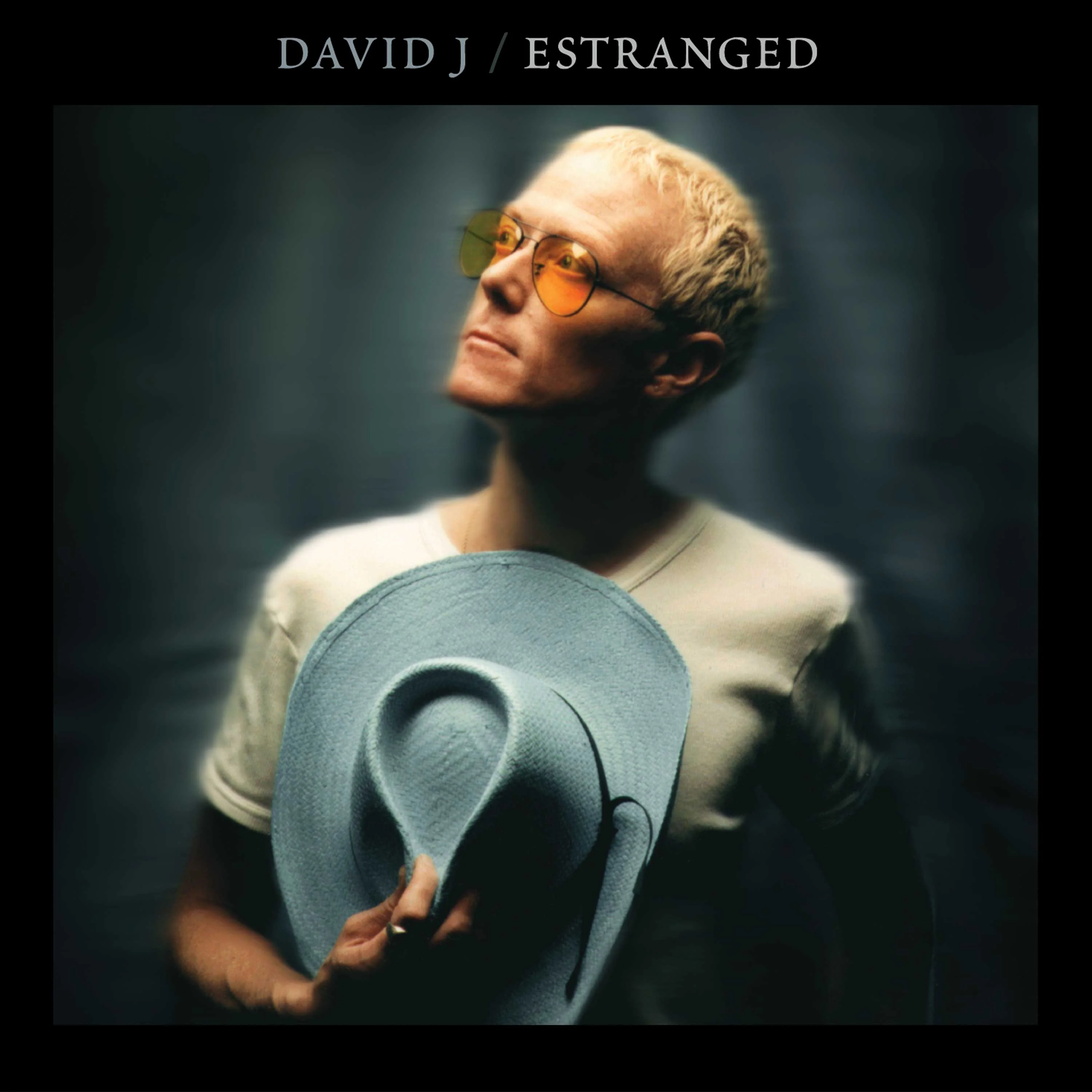 David J - Estranged (CD) - Image 4