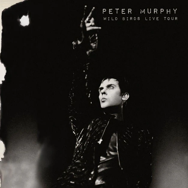 Peter Murphy - Wild Birds Live Tour (2 CD)