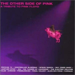 The Other Side of Pink - A Tribute To Pink Floyd (CD)