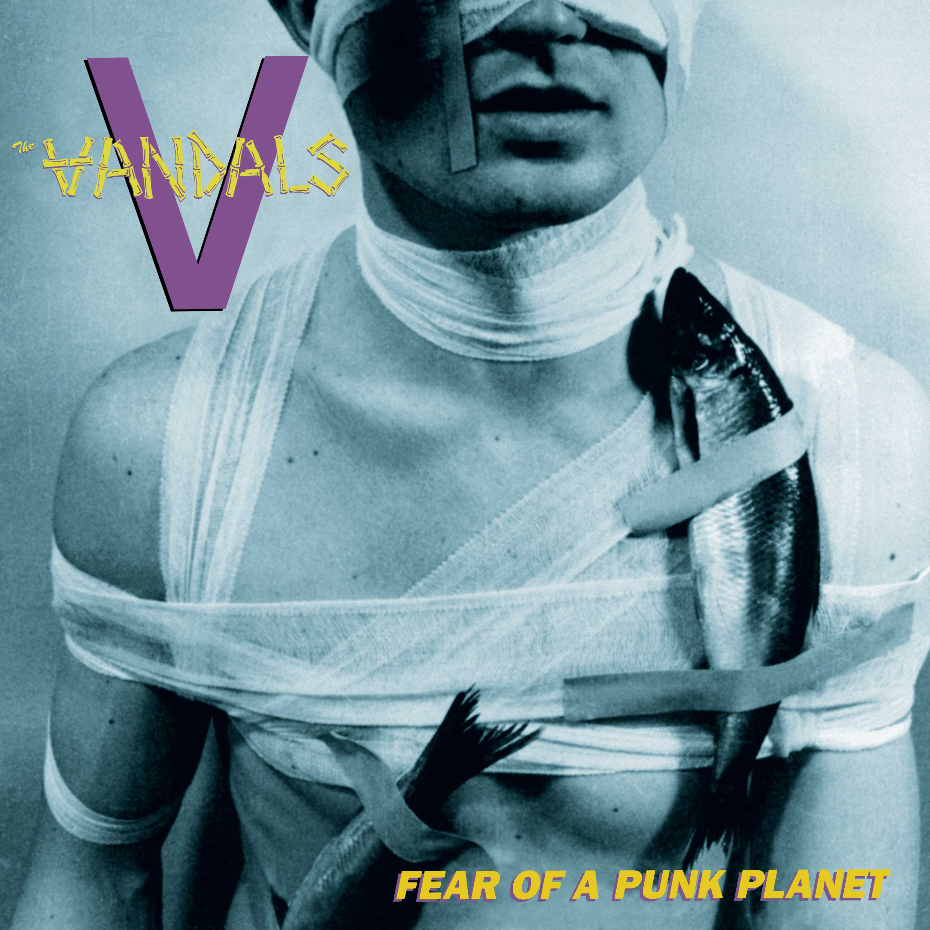 The Vandals - Fear Of A Punk Planet (CD) - Image 3