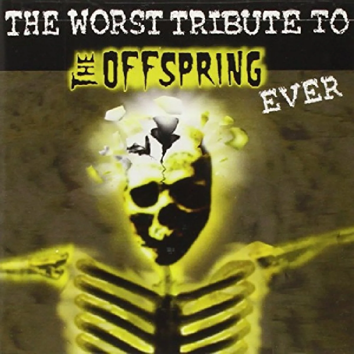 The Worst Tribute To The Offspring Ever (CD)